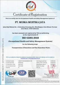 ISO 45001 MMJ